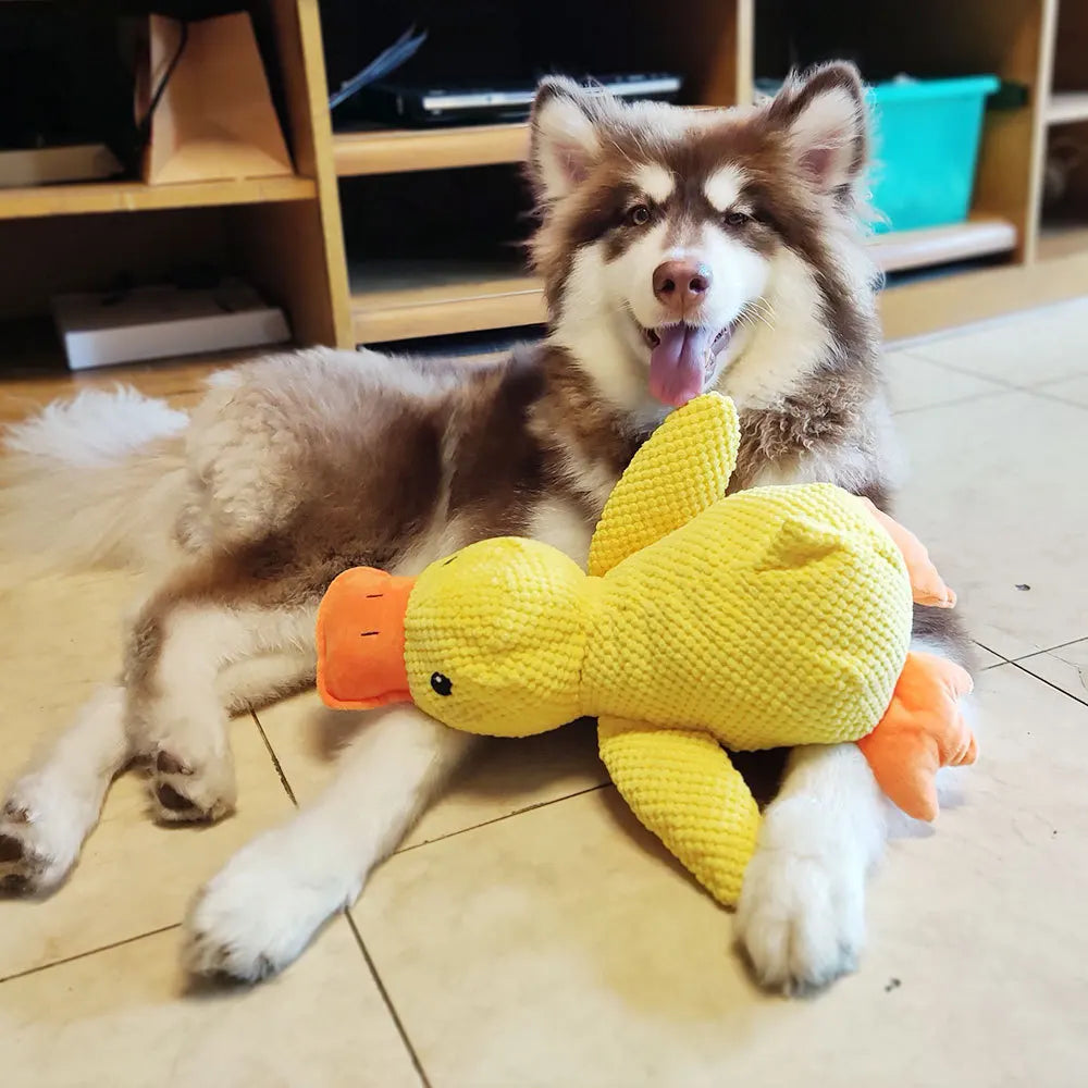QuackPlay: Stomping Duck Interactive Dog Toy