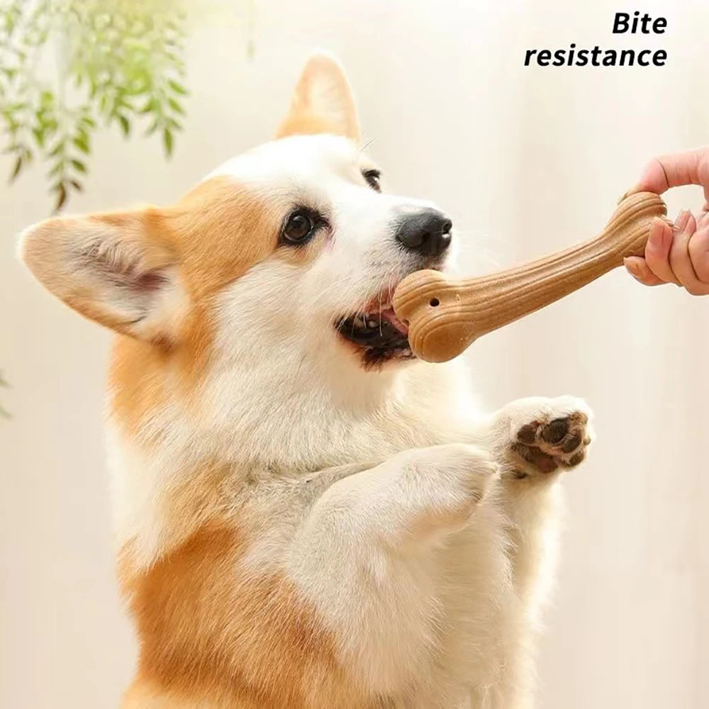 MightyMolar Dog Chew