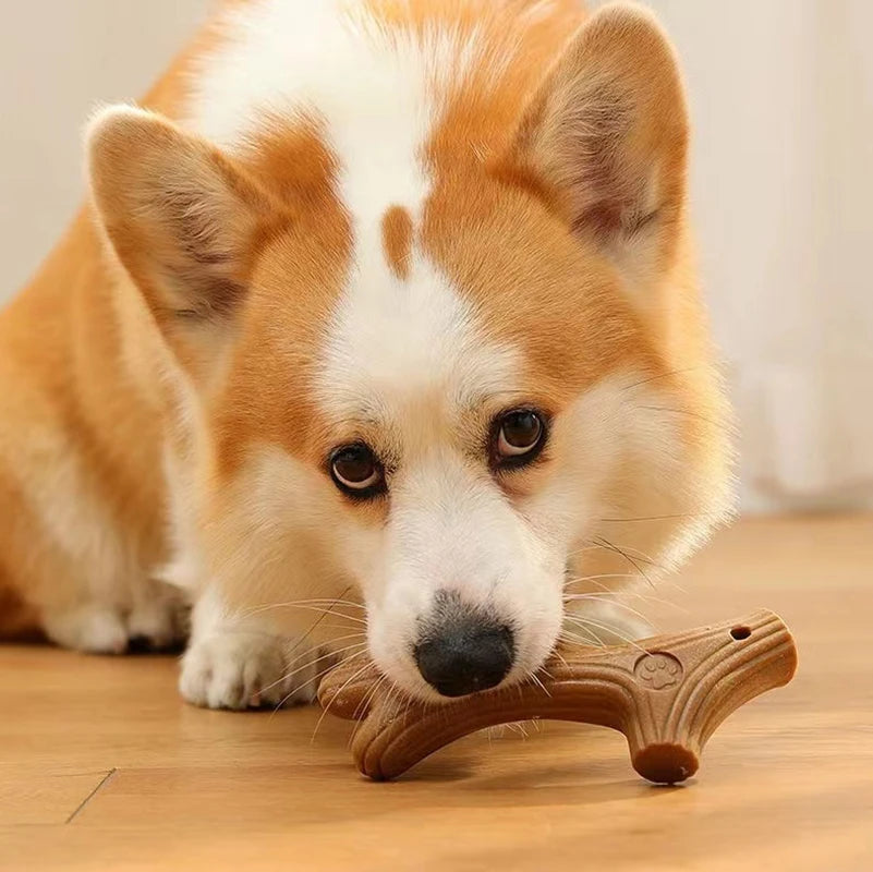 MightyMolar Dog Chew