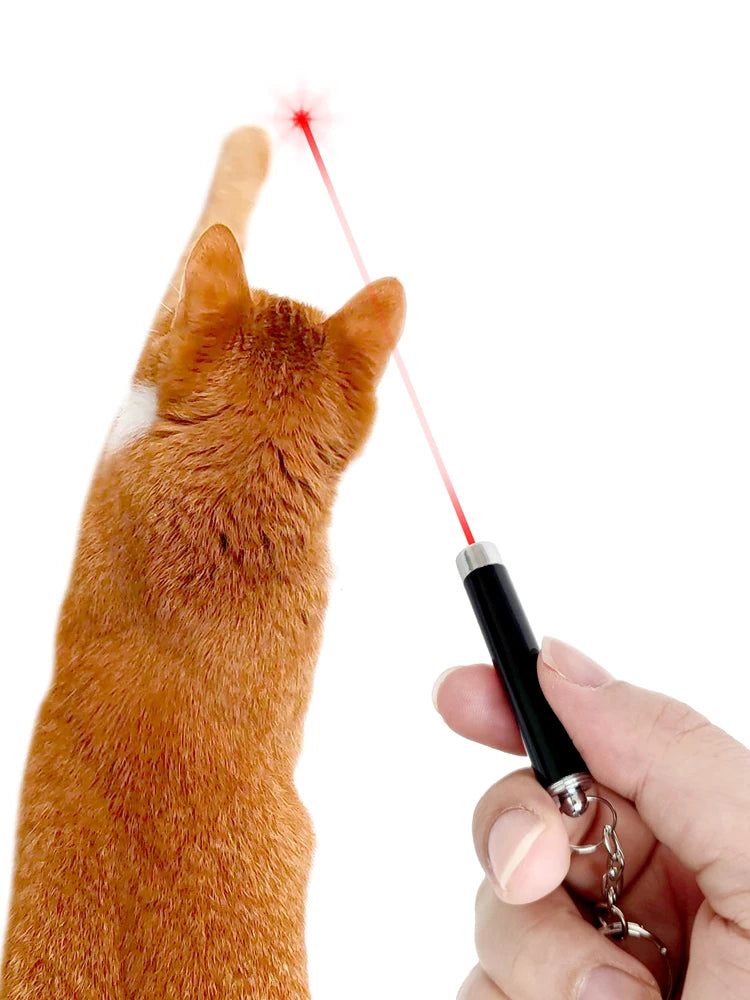 RedDot Mini LED Pet Toy